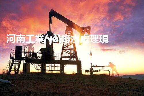 河南工業(yè)廢水處理現(xiàn)狀調(diào)查與未來發(fā)展趨勢展望？
